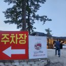 일구구사 이미지