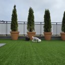 더봄(the봄) 이미지