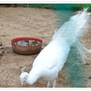 이슬공원 이미지