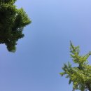 201705 순간순간 눈에 담고 좋아하고 기억하는 것(꺼내는 기록)