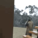 kangaroo 이미지