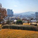 구미 행정사 이미지