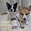 민강헤어 | (다이어트 보조제 추천)펜트라민 다이어트보조제 내돈내산 후기