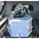 아산행정사 이미지