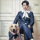 심바는 크리스마스 이미지