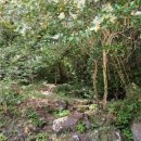 제주불교성지 순례길 절로 가는길 - 정진의 길 이미지