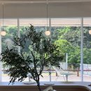 갤러리카페520 | [충북 진천] 갤러리카페 스몰콤마 | 충북혁신도시 인근, 대형 베이커리 카페 솔직 후기 (추천!)