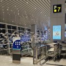 말통커피 | 베트남 다낭공항 생수와 냉커피가 서비스로 나오는 김밥 8달러 신라국수 후기