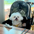 산성오복식당 이미지