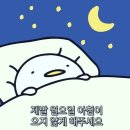 [일상] 어서 와 한 살⭐️