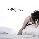 힐링보보하우스 이미지