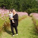 현대공원 앞 이미지