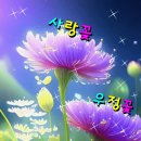 가을여인님께 사랑꽃을~ 이미지