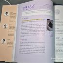 일기 술술,글이 술술 | 임신 태교일기 추천 | 하루한장 임신출산 데일리북 솔직 후기