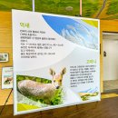 사구센터 전시실 이미지