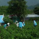 산채으뜸마을 이미지