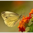 곤충생태관_1 이미지