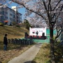 남동발전사원아파트 Daum카페