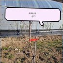 영구네농장 이미지