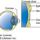 행신동물병원 이미지