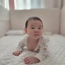 인견맞춤 | 포몽드 백숙이(100수)인견 양면 쿨패드 내돈내산 후기, SS 아기 패드 추천