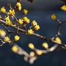 금호동 장미아파트 이미지