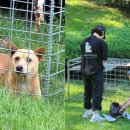 판문동5 이미지