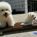 마린동물병원 이미지