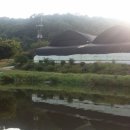 단돈낚시터 이미지