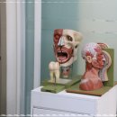 당신e빛나는 치과의원 | 선진 진료 시스템의 노하우와 풍부한 임상경력을 바탕으로 진료를 진행하는 거제동치과