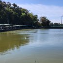 배양낚시터 이미지