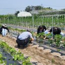 함평군농업기술센터 이미지