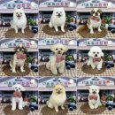 몽개구름 이미지