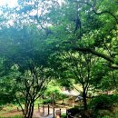 길치고개길 이미지