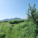 동읍스카이부동산중개사무소 이미지