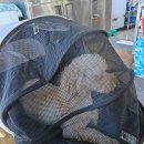 민경식당 이미지