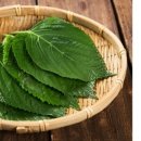 깻잎수산