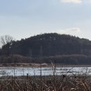 우포의 숲속 이미지