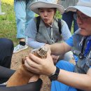 예은결혼정보 이미지