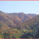 도송리 이미지