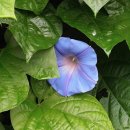 스타티앤비 이미지