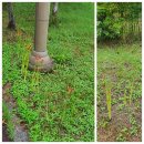 용호근린공원 이미지