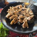화성 남양 맛집 뉴 캠핑존 게장, 생선구이 참 잘하는 집 방문후기 놀이방식당