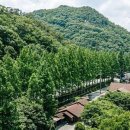 루체펜션 이미지