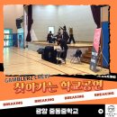 중동중학교 | [학교공연 후기] 갬블러크루, 광양 중동중학교로 찾아간 스트릿댄스 공연!