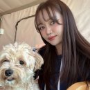조종천 | 가평 애견펜션 추천- 가평 댕댕이 애견 글램핑 앤 펜션 방문후기(내돈내산)