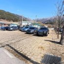 산수유사이길사이로식당앞 이미지