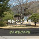 나비화장실(문화유물전시관 옆) | 청주 미동산수목원 후기 | 자연 속 힐링 나들이