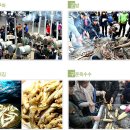 알프스마을 이미지