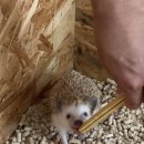 영앤리치 스테이 이미지